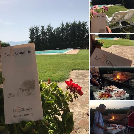 Le Ghiande Guest House Spello Ngoại thất bức ảnh