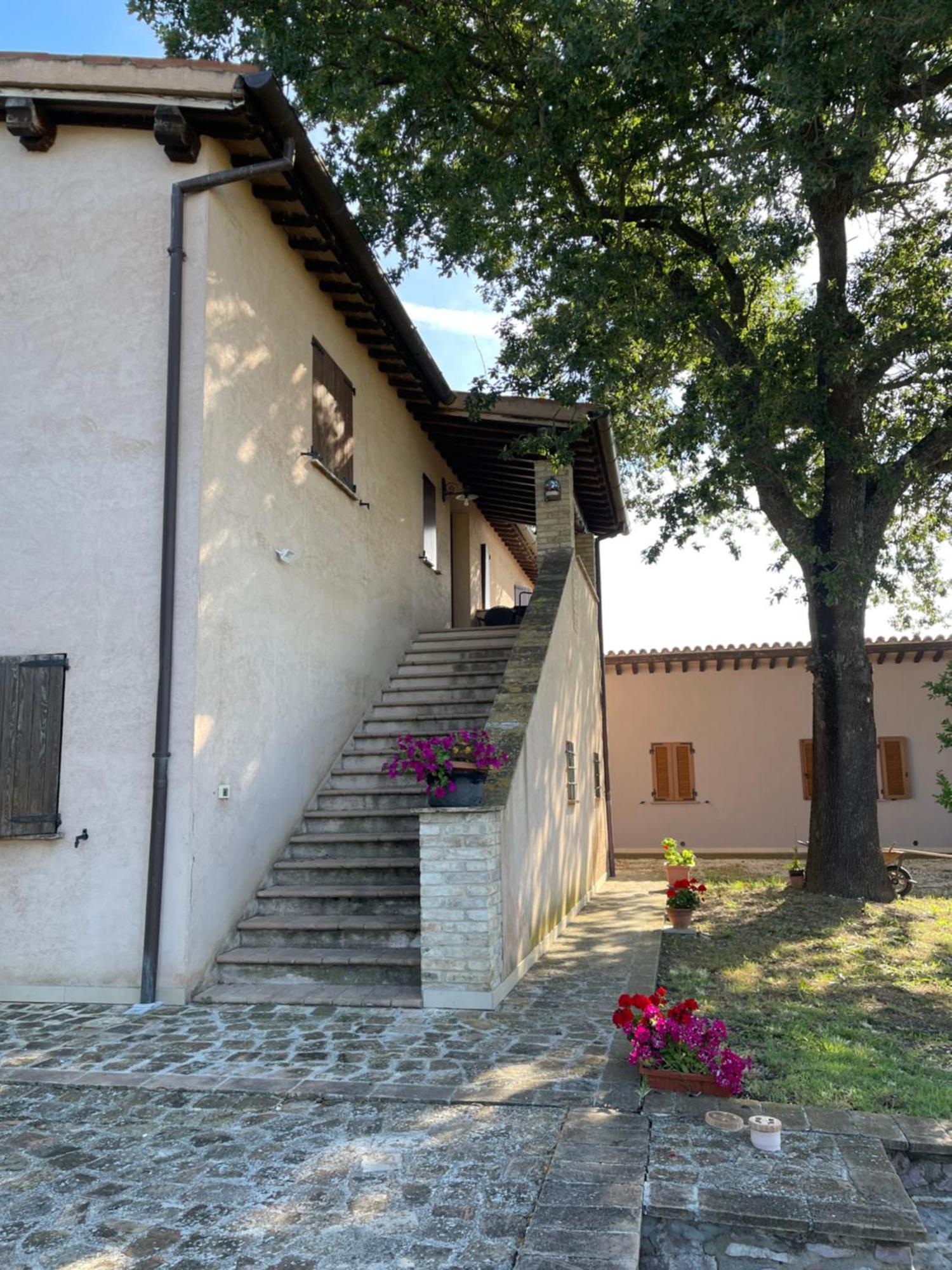 Le Ghiande Guest House Spello Ngoại thất bức ảnh